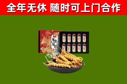 江苏省回收冬虫夏草价格